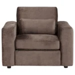Amador Chenille Living Chair By Coaster Furniture - Image 3
