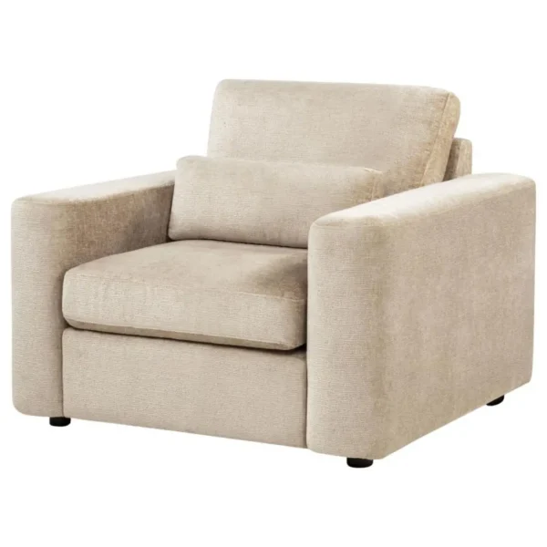 Amador Chenille Living Chair By Coaster Furniture - Image 4