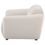 Destino Upholstered Lounge Chair By Coaster Furniture - Image 4
