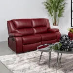 Camila Loveseat Recliner Sofa By Coaster Furniture