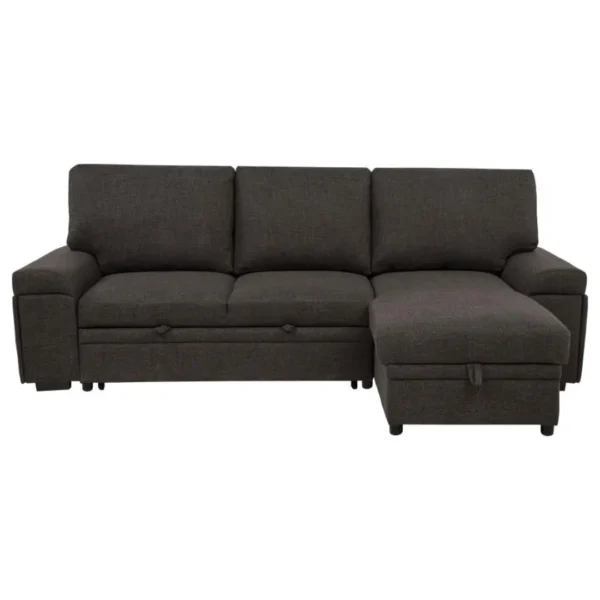 Demko Sectional Sleeper Sofa with Storage By Coaster Furniture - Image 9