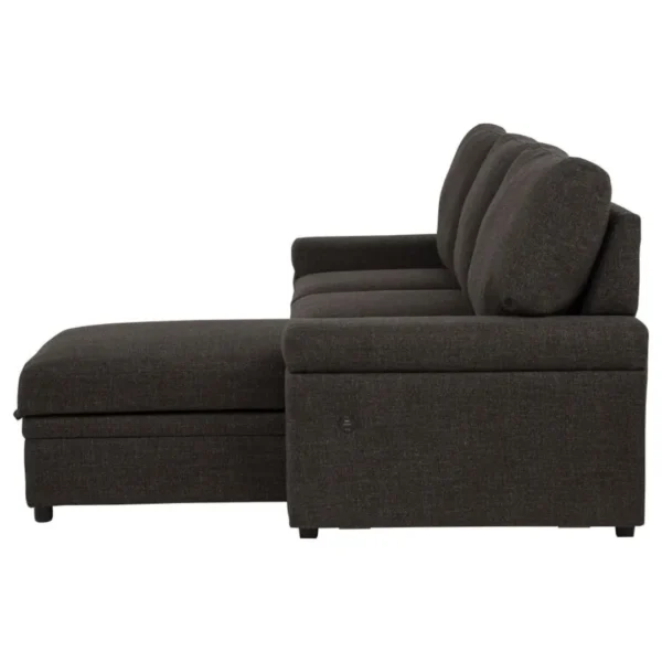 Demko Sectional Sleeper Sofa with Storage By Coaster Furniture - Image 10