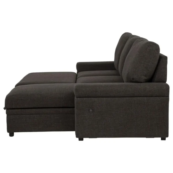 Demko Sectional Sleeper Sofa with Storage By Coaster Furniture - Image 11