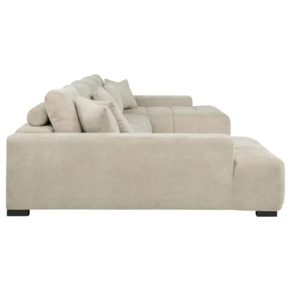 Cannella Double Chaise Sectional Sofa Beige By Coaster Furniture - Image 3