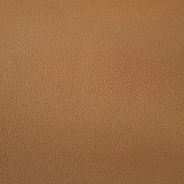 Buxton Orange Leather Sofa By Coaster Furniture - Image 7