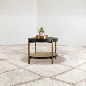 Round End Table with Storage