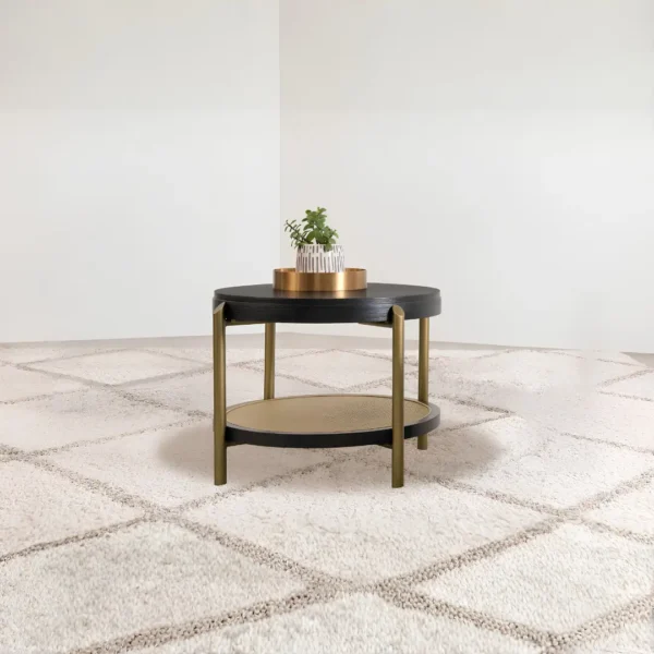 Round End Table with Storage