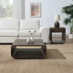 Lanza Walnut End Table with Drawer by ACME - Image 5