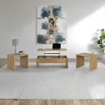 Wooden Coffee Table Set