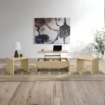 Canoga Lift Top Wooden Coffee Table Set By Coaster Furniture - Image 2
