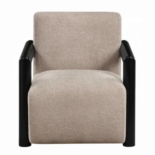 Jetta Black Wooden Arm Accent Chair by ACME - Image 2