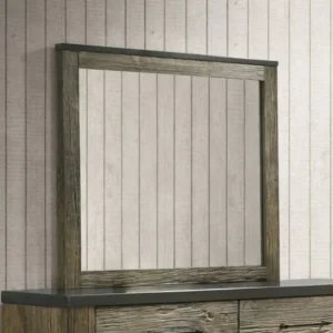 Lance Gray Wooden Mirror by ACME