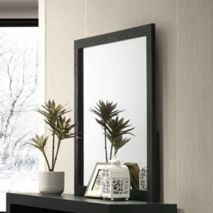 Altimari Contemporary Wood Mirror By Furniture of America