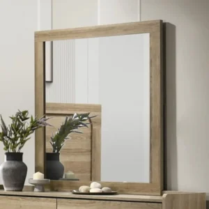 Cadden Contemporary Bedroom Mirror By Furniture of America