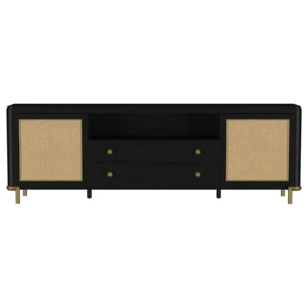 Arini 2-Door Rattan TV Console By Coaster Furniture - Image 3