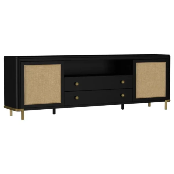 Arini 2-Door Rattan TV Console By Coaster Furniture - Image 5