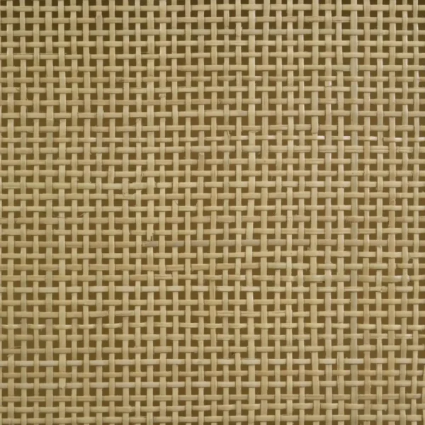 Arini 2-Door Rattan TV Console By Coaster Furniture - Image 11
