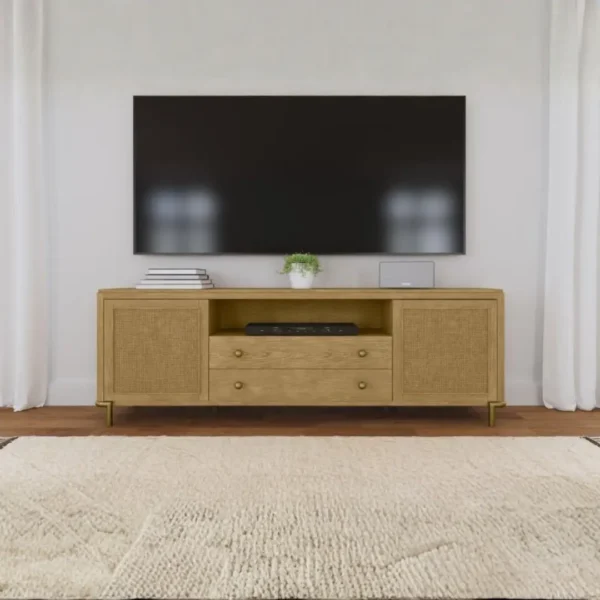 Arini 2-Door Rattan TV Console By Coaster Furniture - Image 13