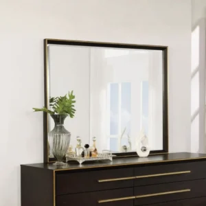 Durango Dresser Mirror By Coaster Furniture