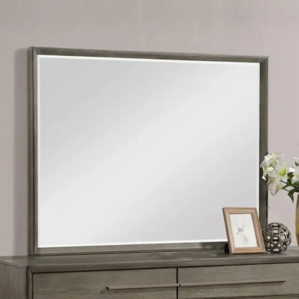 Durango Dresser Mirror By Coaster Furniture - Image 8