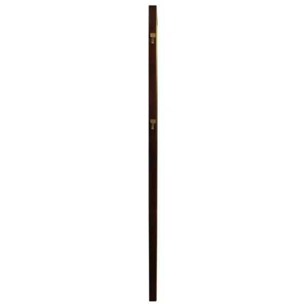 Durango 80-Inch Standing Floor Mirror By Coaster Furniture - Image 4