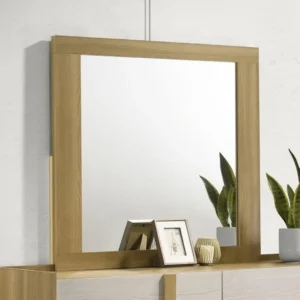 Hyland Contemporary Dresser Mirror By Coaster Furniture
