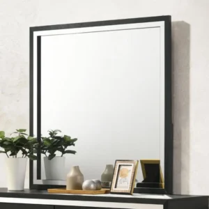 Lucia Square Dresser Mirror By Coaster Furniture