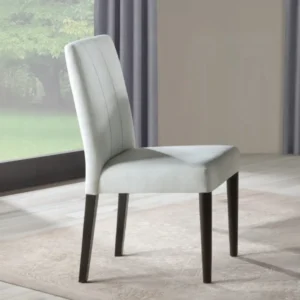 Carena White Upholstered Side Chair Set of 2 By ACME
