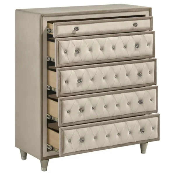 Antonella Ivory and Camel Chest By Coaster Furniture - Image 2