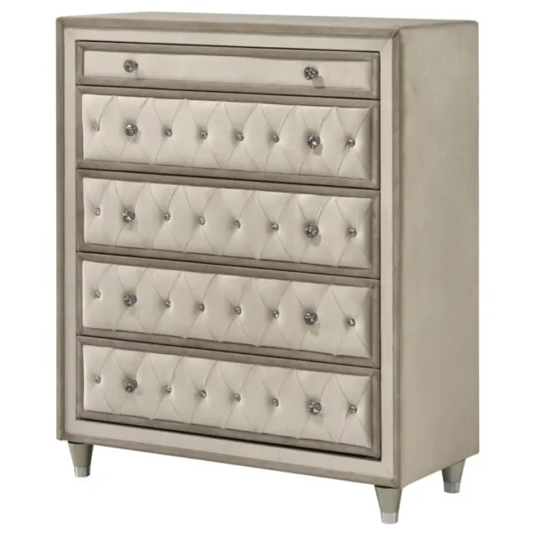 Antonella Ivory and Camel Chest By Coaster Furniture - Image 4