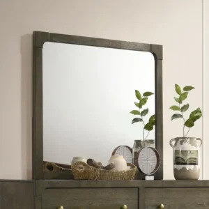Gran Park Dresser Mirror Dark Cocoa By Coaster Furniture