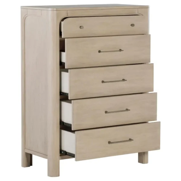 Solano Weathered Mango Chest of Drawers By Coaster Furniture - Image 7