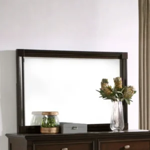 Andover Dark Oak Dresser Mirror By Coaster Furniture