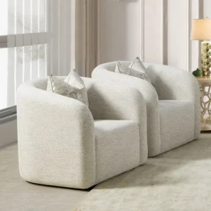 HD-1053 Modern European Chair by Homey Design